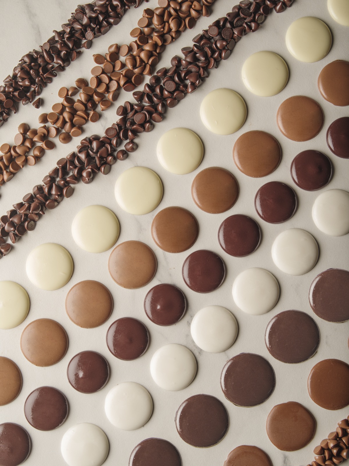 Coberturas vegetales con chips de chocolate